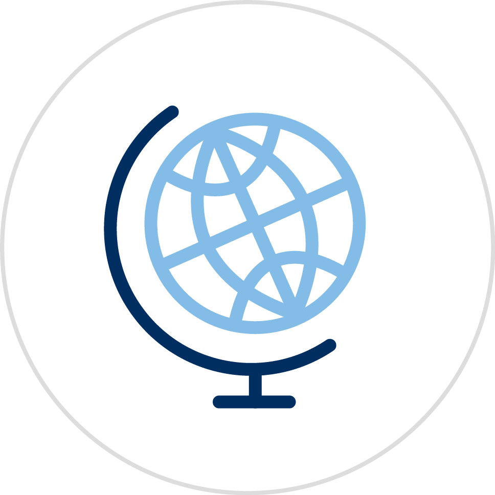 Globe Icon KIVI Chartered globe-icon-kivi-chartered